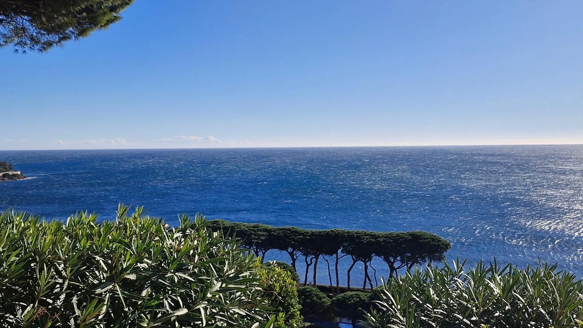 Appartement 2 Pieces Avec Piscine Et Garage A Sainte-Maxime - Fr-1-780-71 0*,